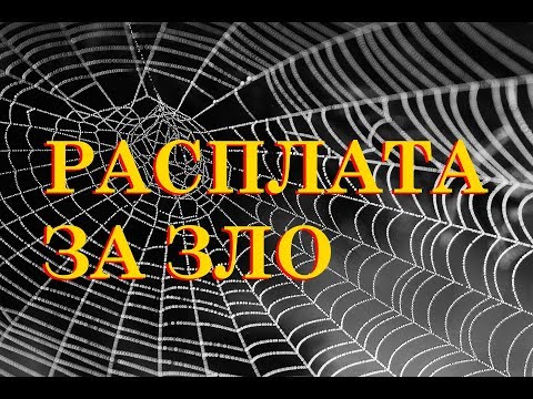 КАК ОБИДЧИК ОТВЕТИТ ЗА ЗЛО? БУМЕРАНГ ВРАГУ ТАРО 🎴 Гадание онлайн