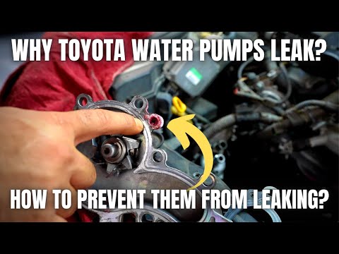 Why Do Toyota Water Pumps Leak? How to Prevent Them From Leaking?
