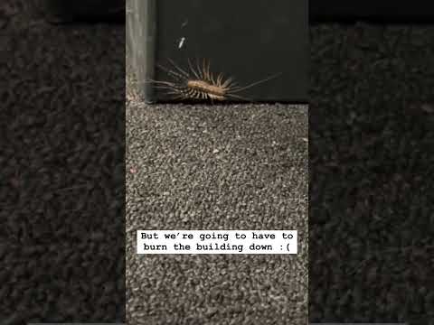 We have to burn the building down - NOT CLICKBATE