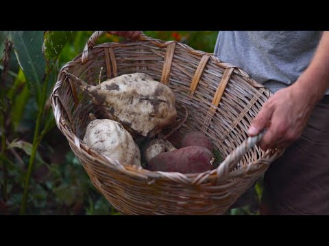 7 Easy Ways To Grow More Food with LESS Work & Money!