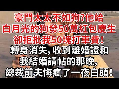 豪門太太不如狗？他給白月光的狗發50萬紅包慶生，卻拒批我50塊打車費！轉身消失，收到離婚證和我結婚請帖的那晚，總裁前夫悔瘋了一夜白頭！