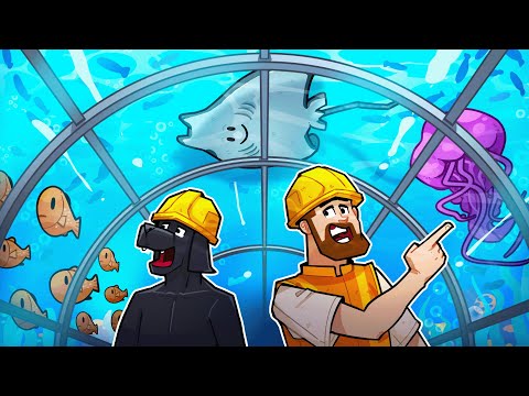 Building my DREAM AQUARIUM from scratch!