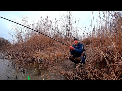 ПОПЛАВОК УНОСИТ. РЫБЫ ТЬМА. БЕШЕНЫЙ КЛЕВ ПОД САМЫМ БЕРЕГОМ. Рыбалка на поплавок в конце осени.