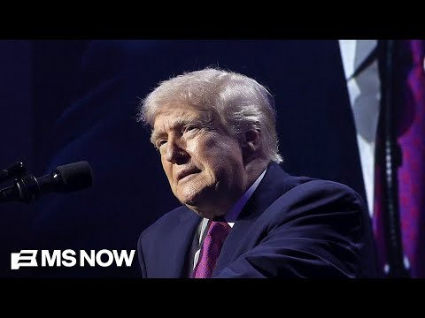 ‘Tone deaf’: GOP strategist calls Trump’s economy remarks ‘politically dangerous’ for Republicans