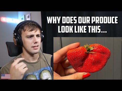 American Reacts to Sorry USA, Europeans Have Better Food and Here's Why