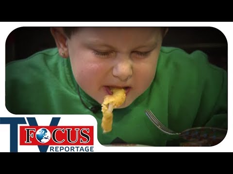 Generation Fries – How overweight children become overweight adults | Focus TV report