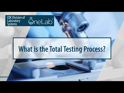 What is the Total Testing Process?