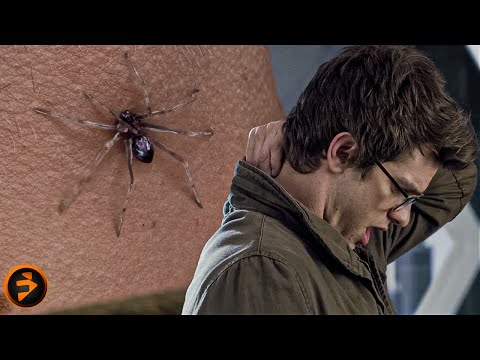 Spider bites Peter Parker | THE AMAZING SPIDER MAN