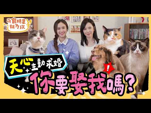 [SUB] EP2 天心 與老公相愛過程大公開！Sandy 加碼爆料主動求婚經驗？放閃特輯 維持婚姻密絕不藏私！？【 萌寵明星粗乃玩 】完整版 @haveapetday   Sandy 天心