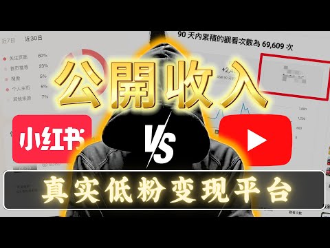 我用6個月總結出AI自媒體低粉變現方法，但是會得罪人！小紅書賺錢，油管被動收入方法｜cc字幕