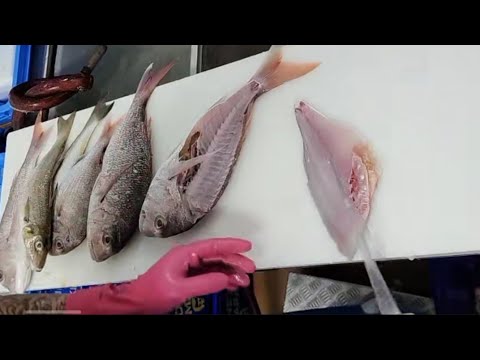 Professional Filleting Fish Skill | Filleting Fish Fast Compilation Fast Filleting Fish Compilation