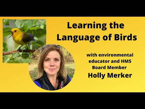 Learning the Language of Birds