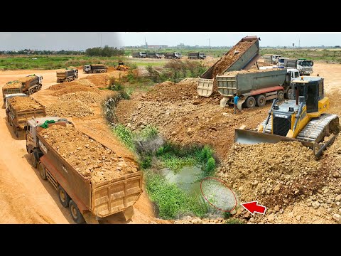 Wonderful, Complete Land Filling By Skills Shantui C3 Dozer Pushing Soil And Dump Truck Dumping Soil