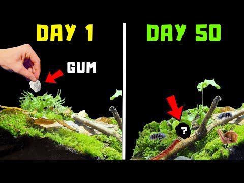 I Threw Gum in Nature *FOR SCIENCE*