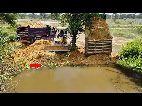 Nice project!! bulldozer and dump trucks start filling up new project