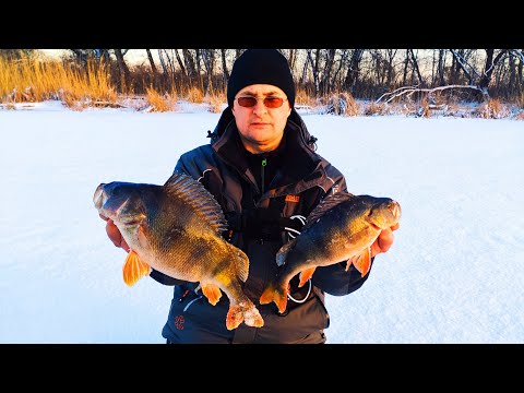 МОРДАТІ ОКУНІ не ПРОЛАЗЯТЬ в ЛУНКУ!!!  Риболовля на БЕЗМОТИЛКУ у відлигу. Рибалка взимку !!!