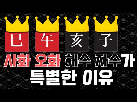 사화(巳), 오화(午), 해수(亥), 자수(子)가 독특한 이유 / 체용론
