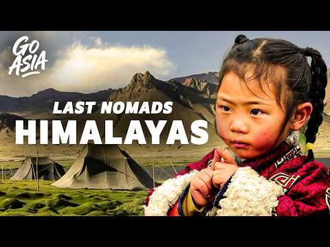The Last Nomads of the Himalayas: Will Ladakh’s Children Keep the Tradition Alive? | Documentary AMP