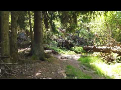 What onboarding buffer do you give new devs?