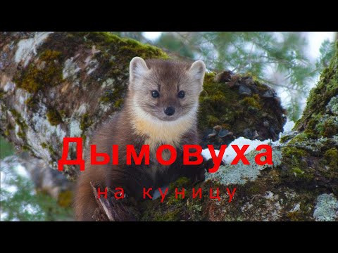 Охота на куницу  -  Изготовление  дымовухи .