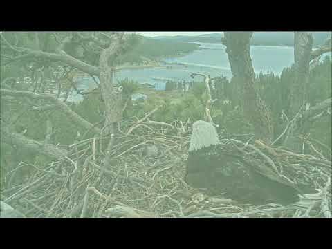 Presidential News Conference 4-6-26