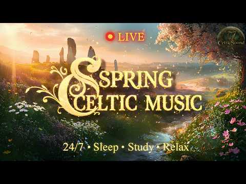 Celtic Music Live 24/7 🍀 Relaxing Instrumental for Sleep, Study, Work & Meditation