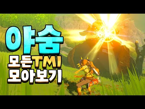 야숨 신박한 디테일과 TMI 총모음집 (젤다의 전설 야생의 숨결)