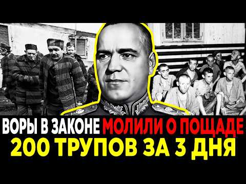 ТРИ ДНЯ УЖАСА: как ЖУКОВ Устроил Зачистку ВОРОВ В ЗАКОНЕ!Операция, о которой молчали десятилетиями!