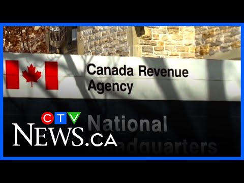 Embrun hairstylist told she owes thousands in CERB payments