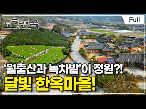 [Full] 고향민국 - 강진, 월출산이 품은 이웃사촌