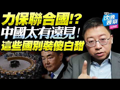 王毅點破「國際體系三趨勢」！維護聯合國「就是束大國救小國」！中國外交心態變化！從受害者敘事到主動出擊！@新西蘭中文國際頻道