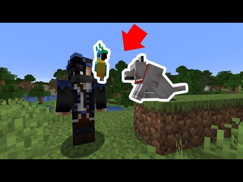 Minecraft, But My Friends Are PET ANIMALS