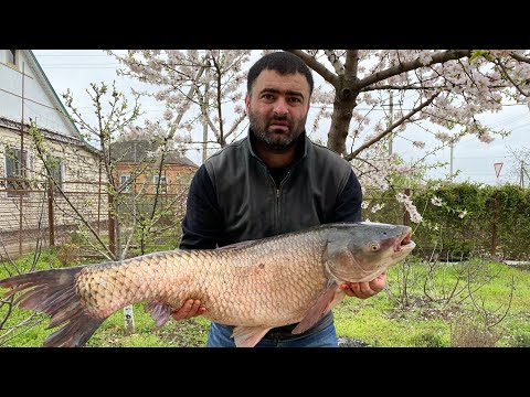 Топ Три Рецепта Блюд Как на Праздник Так и на Каждый День 👍 Еда Огонь 🔥