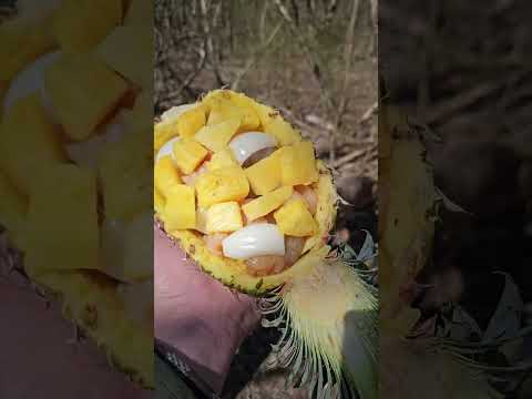 Making honey teriyaki shrimp, pineapple, and chicken kebobs in the woods