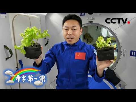 问天实验舱room tour！蔡旭哲展示太空种菜！小撒连线王亚平“恢复地球人模式超开心” | CCTV「2022开学第一课」