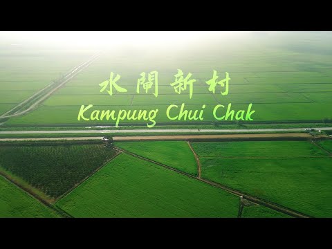 濃濃的人情味 不一樣的稻鄉 Amazing Hospitality// 水閘新村 Kampung Chui Chak