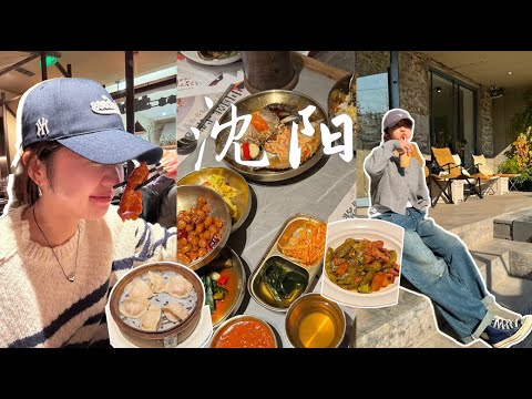 本地人带我们逛吃沈阳VLOG😋｜吃晕在西塔街 酱蟹和烤肉｜赶大集 看刘老根大舞台｜椒盐猪蹄太香了 东北菜yyds