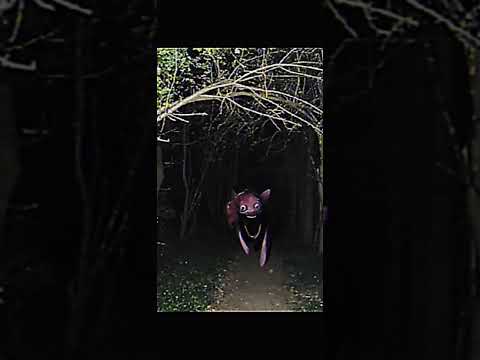 Pinkie pie infection footage