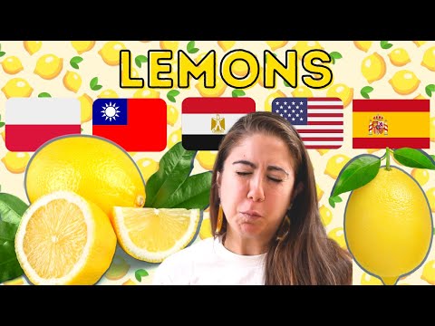 🍋 Lemon Dishes From Around the World  (Egypt, USA, Spain, Taiwan, Poland)