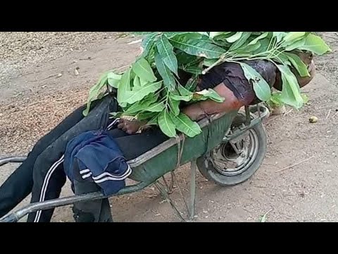 Nnamdi KANU: Udele has fallen, the vulture will be consumed by vulture. 