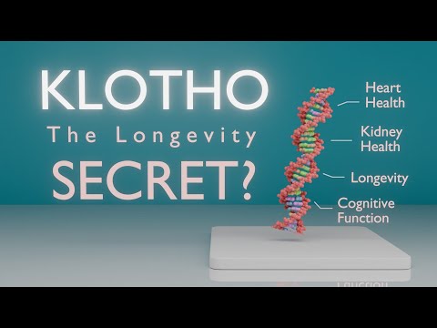 The Real Longevity Hormone? (Klotho Explained)