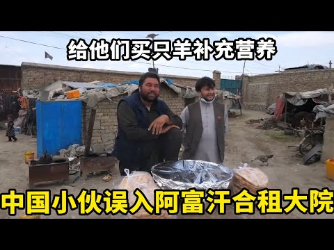 中国小伙误入阿富汗的合租大院，很多家庭平分惨不忍睹，给他们买只羊补充营养【锋哥Kevin】