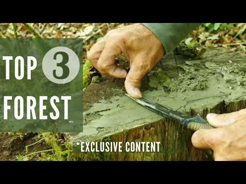 3 Survival Techniques You Didn’t Know for the Woods