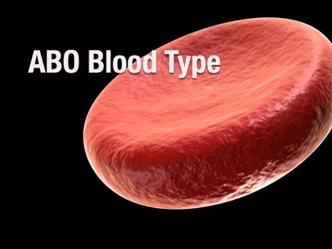 ABO Blood Type