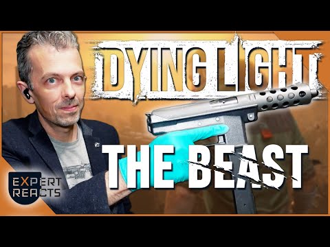 Firearms Expert Reacts to Dying Light: The Beast Guns | EXP