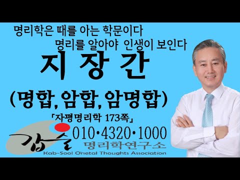 Jijanggan (Myeonghap Amhap Ammyeonghap) - (Japyeongmyeongrihak, p. 173) - Gapsul Myeongrihak - Dr...