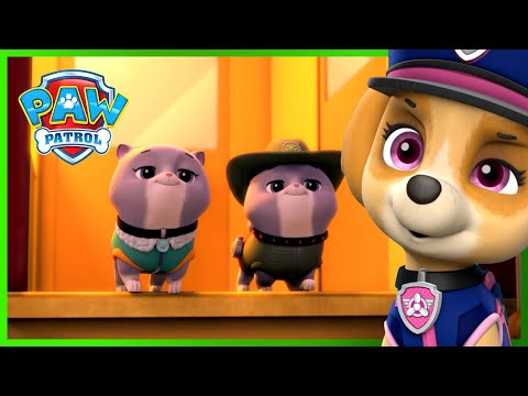 汪汪队终极救援：拯救皇家猫咪 - PAW Patrol 汪汪队立大功 - 儿童卡通