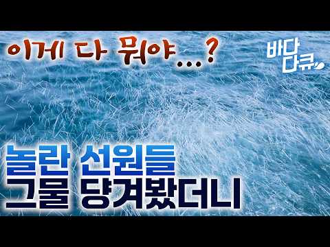 만선이라는 아들들 호출에 엄마가 다급하게 달려가 봤더니  / 태풍이 선물한 대박 조업. 그물 걷자마자 선원들 난리 난 이유 / 배가 터질 듯한 만선의 순간 / #바다다큐