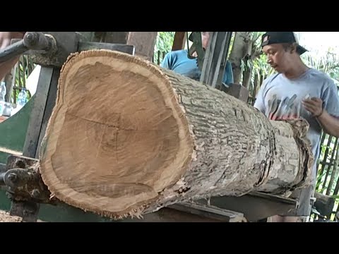 Hard work! The process of turning wood into beautiful and expensive furniture materials 