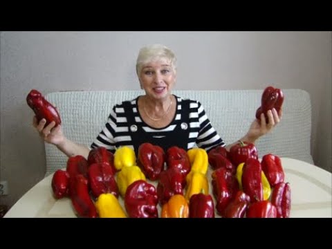 Как вырастить шикарный перец! От посева до урожая! Чем подкормить.